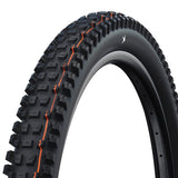 Schwalbe Albert Gravity Pro Evo Tire, TLR, Radial, Addix Soft Black 29 x 2.50