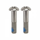 Flat Mount Bolts, 22mm Stainless T25, Pair