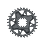 GX Eagle T-Type 12sp Boost DM Chainring, 34t, Black