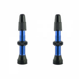 WTB Aluminum TCS Tubeless Valves: 34mm, Blue, Pair