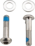 Flat Mount Bolts, 22mm Stainless T25, Pair