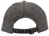 Teravail Artist Series: Joshua Noom Dad Hat - Charcoal, One Size
