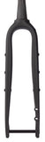 Salsa Waxwing Carbon V2 Fork - 700c/650b, 100x12mm Thru-Axle, 1-1/8" Tapered, Carbon, Flat Mount Disc, Black