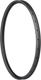 Teravail Fluent Mountain Rim - Rear, 29", Disc Brake, Matte Carbon, 32H
