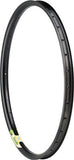 Blunt 35 29" Disc Rim, 36h - Black
