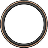 Continental Grand Prix TR Tire - 700 x 25, Tubeless, Folding, Black/Transparent, BlackChili