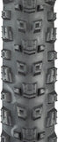 Teravail Warwick Tire - 29 x 2.5, Tubeless, Folding, Tan, Light and Supple, Fast Compound