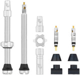 Tubeless Valve Stem Kit, 60mm, Raw Silver