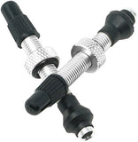 Tubeless Presta Valve Stem, 40mm, Pair, Silver