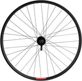 Sta-Tru Double Wall Rear Wheel - 700c, QR, 10 x 135mm, HG 11 MTN, Black, 21i