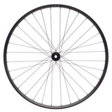 Quality Wheels Bear Pawls / WTB ST i30 Front Wheel - 29", 15 x 110mm, Center-Lock, Black, 32H