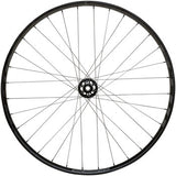 WTB Proterra Tough i30 Front Wheel - 29", 15 x 110mm, 6-Bolt, Black, 32H