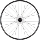 Stan's Arch S2 Front Wheel - 29", 15 x 100mm, 6-Bolt, Black, 32H