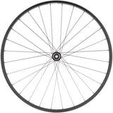 Quality Wheels Value Double Wall Series Disc Rear Wheel - 700, 12 x 142mm, Center-Lock, HG 11 Road, Black, 28H