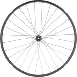 Quality Wheels Value Double Wall Series Disc Rear Wheel - 700, 12 x 142mm, Center-Lock, HG 11 Road, Black, 28H