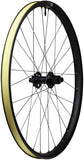 WTB CZR i30 Rear Wheel - 29", 12 x 148mm, 6-Bolt, Black, Micro Spline, 28H