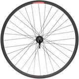 Sta-Tru Double Wall Rear Wheel - 26", QR x 135mm, Freewheel, Black