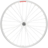 Sta-Tru Double Wall Front Wheel - 24" x 21 Bolt-On, 3/8 x 100mm, Silver