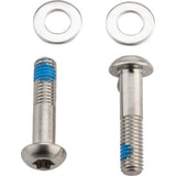 Flat Mount Bolts, 27mm Stainless T25, Pair
