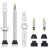 Tubeless Valve Stem Kit, 60mm, Raw Silver