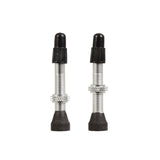 Tubeless Presta Valve Stem, 40mm, Pair, Silver